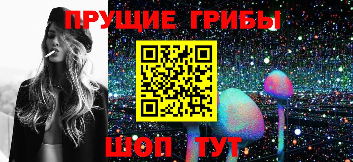 Тольятти  Галлюциногенные грибы GOLDEN TEACHER  Галлюциногенные грибы прущие грибы  Вход с VPN 