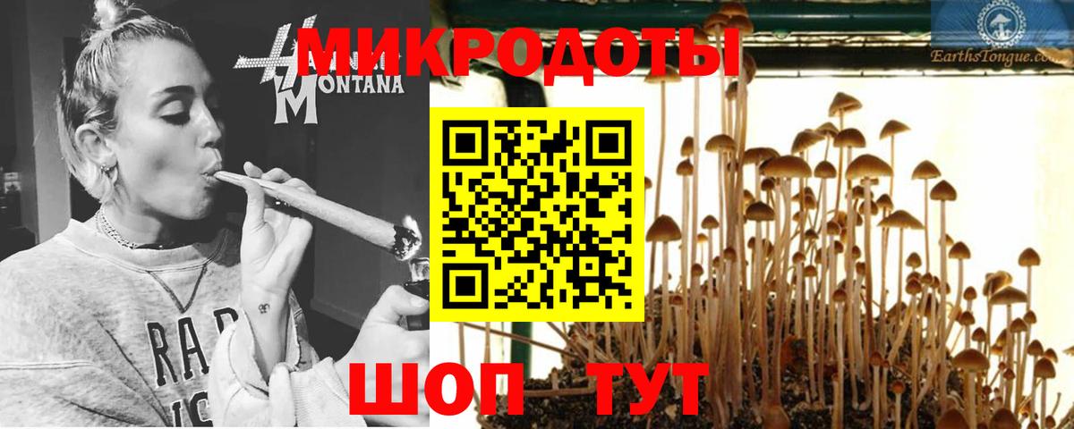 Псилоцибиновые грибы Magic Shrooms Тольятти